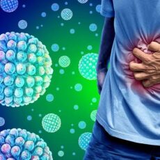Norovirus: lo que tienes que saber sobre el brote en el crucero